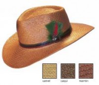 Mascota Panamá Australia